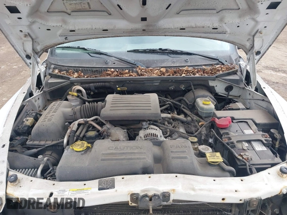 2002 Dodge Dakota SLT z VIN 1B7HG48N72S577296, wystawiony jako IAAI lot #41848637 z przebiegiem 133 777 mil mil oraz . Historia ofert i sprzedaży dostępna na DreamBid. Obrazek 10.
