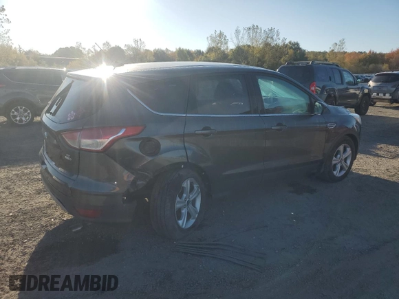 2016 Ford Escape SE with VIN 1FMCU9GX0GUB86582, listed as a Copart auction lot 74035344 with 115,538 mi miles and Salvage Title. Bid and sale history available at DreamBid. Image 3.