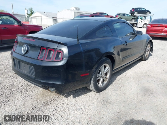 2013 Ford Mustang V6 with VIN 1ZVBP8AM7D5203672, listed as a IAAI auction lot 42104121 with 215,815 mi miles. Bid and sale history available at carsss.com. Image 4.