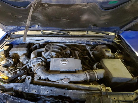 2012 Nissan Xterra X with VIN 5N1AN0NW6CC515196, listed as a Copart auction lot 49913865 with 141,333 mi miles and Salvage Title. Bid and sale history available at DreamBid. Image 14.