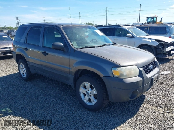 2006 Ford Escape XLT с VIN 1FMYU93166KB18305, выставлен на аукционе IAAI как лот 42316332 с пробегом 252 743 миль миль и . История ставок и продаж доступна на DreamBid. Изображение 1.