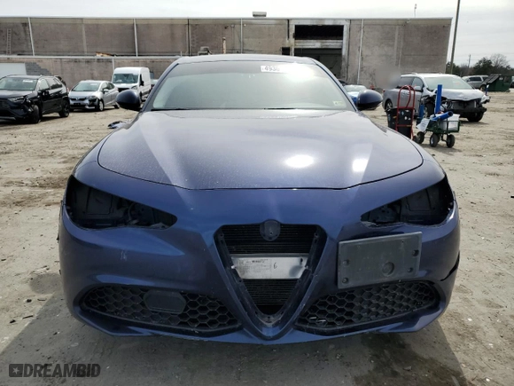 2018 Alfa Romeo Giulia with VIN ZARFAEDN7J7590223, listed as a Copart auction lot 49301005 with 113,535 mi miles and Salvage Title. Bid and sale history available at carsss.com. Image 5.