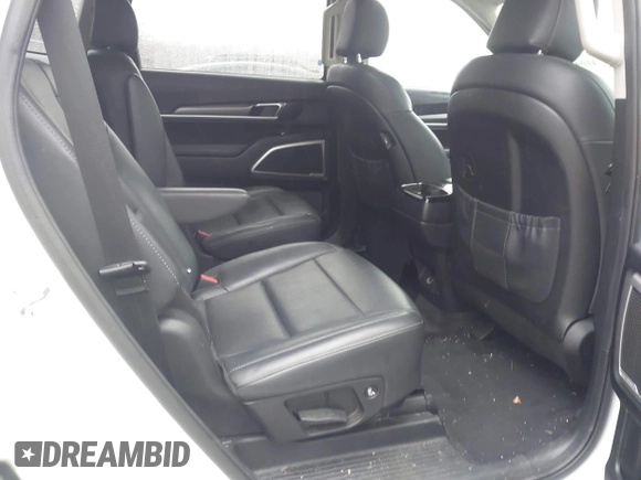 2020 Kia Telluride S with VIN 5XYP6DHC4LG065015, listed as a IAAI auction lot 41047486 with 72,851 mi miles and . Bid and sale history available at DreamBid. Image 8.