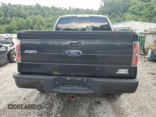 2013 Ford F-150 XL with VIN 1FTFW1EF5DKD04673, listed as a Copart auction lot 60316705 with 308,347 mi miles and Salvage title. Bid and sale history available at DreamBid. Image 6.