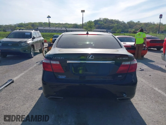 2009 Lexus LS 460 with VIN JTHCL46F495003778, listed as a IAAI auction lot 42111546 with Not Provided miles and . Bid and sale history available at DreamBid. Image 16.