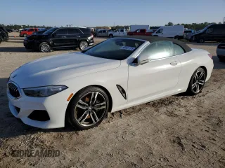 2019 BMW 8 Series M850i xDrive with VIN WBAFY4C53KBX29650, listed as a Copart auction lot 88461175 with 0 mi miles and Salvage Title. Bid and sale history available at carsss.com. Image 1.