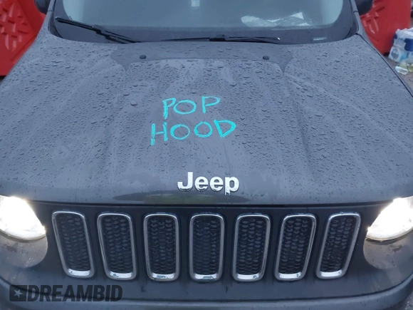 2017 Jeep Renegade Latitude with VIN ZACCJABB8HPF94423, listed as a IAAI auction lot 41272052 with 124,239 mi miles and . Bid and sale history available at DreamBid. Image 10.