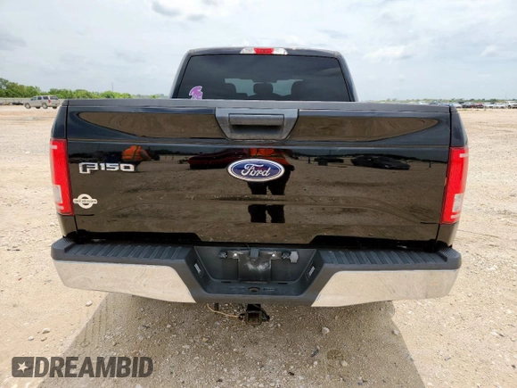 2017 Ford F-150 XL with VIN 1FTEW1CG1HKD11195, listed as a Copart auction lot 63987115 with 134,479 mi miles and Clean title. Bid and sale history available at DreamBid. Image 6.