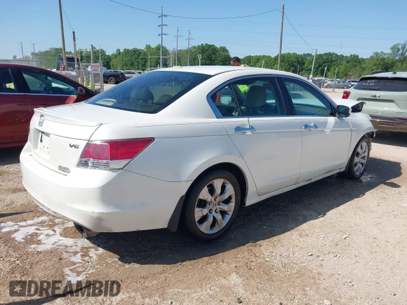 2010 Honda Accord EX-L with VIN 1HGCP3F88AA007069, listed as a IAAI auction lot 41971260 with Not Provided miles and . Bid and sale history available at DreamBid. Image 4.