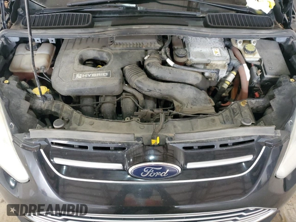 2014 Ford C-Max SE with VIN 1FADP5AU0EL516561, listed as a Copart auction lot 54763445 with 106,862 mi miles and Clean Title. Bid and sale history available at carsss.com. Image 11.