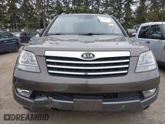 2009 Kia Borrego EX with VIN KNDJH741995015542, listed as a IAAI auction lot 42120069 with 139,457 mi miles. Bid and sale history available at carsss.com. Image 6.