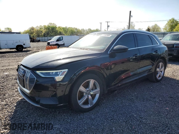 2019 Audi e-tron Premium Plus with VIN WA1LABGE5KB013142, listed as a Copart auction lot 52452085 with 91,042 mi miles and Salvage title. Bid and sale history available at DreamBid. Image 1.