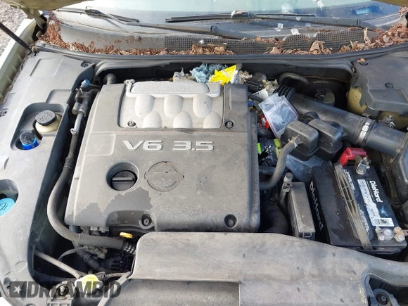 2004 Nissan Maxima SL with VIN 1N4BA41E64C837076, listed as a IAAI auction lot 42003843 with Not Provided miles and . Bid and sale history available at DreamBid. Image 10.
