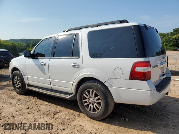 2011 Ford Expedition XLT with VIN 1FMJU1H57BEF45158, listed as a Copart auction lot 62137235 with 223,754 mi miles and Salvage title. Bid and sale history available at DreamBid. Image 2.
