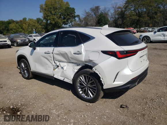 2022 Lexus NX with VIN JTJGGCEZ2N5002083, listed as a Copart auction lot 70023323 with 22,482 mi miles. Bid and sale history available at carsss.com. Image 2.