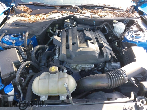 2020 Ford Mustang EcoBoost with VIN 1FA6P8THXL5129382, listed as a IAAI auction lot 39268667 with 18,517 mi miles. Bid and sale history available at carsss.com. Image 10.