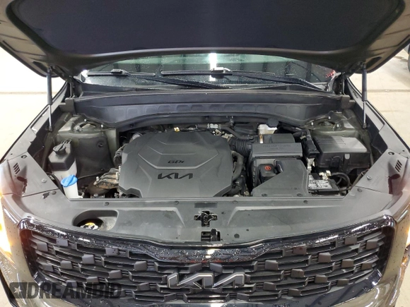 2022 Kia Telluride EX with VIN 5XYP3DHCXNG260175, listed as a Copart auction lot 61352405 with 63,025 mi miles and Clean title. Bid and sale history available at DreamBid. Image 12.
