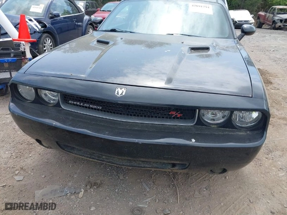 2010 Dodge Challenger R/T with VIN 2B3CJ5DT6AH283515, listed as a IAAI auction lot 42091794 with 1 mi miles. Bid and sale history available at carsss.com. Image 10.