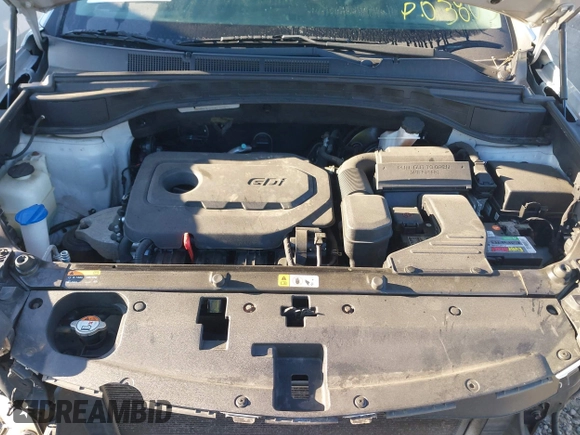 2017 Hyundai Santa Fe 2.4L z VIN 5XYZT3LB3HG398971, wystawiony jako IAAI lot #41844623 z przebiegiem 173 000 mil mil oraz . Historia ofert i sprzedaży dostępna na DreamBid. Obrazek 10.