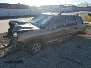 2002 Hyundai Santa Fe GLS with VIN KM8SC13D52U181981, listed as a Copart auction lot 41909695 with 0 mi miles and Salvage Title. Bid and sale history available at carsss.com. Image 1.