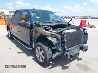 2019 Ford F-150 XL with VIN 1FTEW1C47KKE35050, listed as a IAAI auction lot 42684676 with 123,217 mi miles and . Bid and sale history available at DreamBid. Image 1.