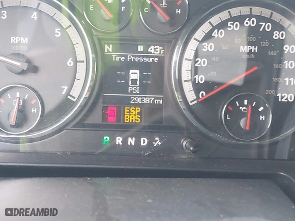 2010 Dodge Ram 1500 SLT with VIN 1D7RB1CP7AS184820, listed as a IAAI auction lot 41338962 with 291,387 mi miles. Bid and sale history available at carsss.com. Image 14.