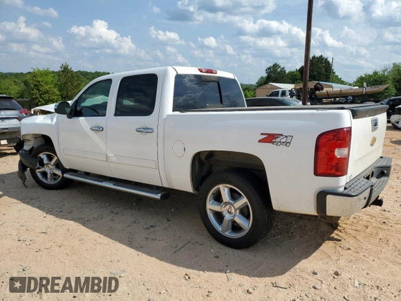 2013 Chevrolet Silverado 1500 LT with VIN 3GCPKSE72DG281861, listed as a Copart auction lot 55227385 with 253,170 mi miles and Salvage Title. Bid and sale history available at DreamBid. Image 2.