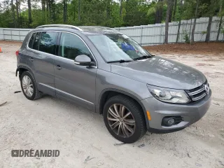 2016 Volkswagen Tiguan SEL with VIN WVGAV7AX8GW577338, listed as a Copart auction lot 53916725 with 102,111 mi miles and Salvage Title. Bid and sale history available at DreamBid. Image 4.