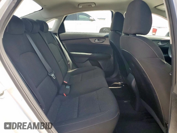 2019 Kia Forte LXS with VIN 3KPF24AD3KE029161, listed as a Copart auction lot 61101015 with 76,386 mi miles and Salvage title. Bid and sale history available at DreamBid. Image 10.