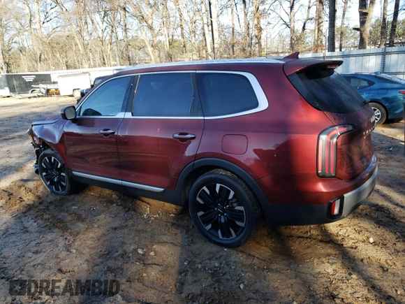 2023 Kia Telluride SX Prestige with VIN 5XYP5DGC5PG399807, listed as a Copart auction lot 43509855 with 18,812 mi miles and Salvage title. Bid and sale history available at DreamBid. Image 2.