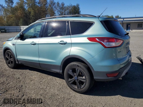2013 Ford Escape SE with VIN 1FMCU0GXXDUA90806, listed as a Copart auction lot 72814224 with 136,543 mi miles and Salvage title. Bid and sale history available at DreamBid. Image 2.