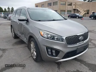 2017 Kia Sorento SX with VIN 5XYPKDA50HG295519, listed as a IAAI auction lot 41493869 with 164,142 mi miles and . Bid and sale history available at DreamBid. Image 1.