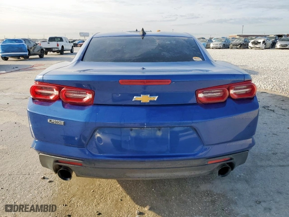 2019 Chevrolet Camaro 1LT with VIN 1G1FB1RS9K0136654, listed as a Copart auction lot 48824565 with 117,204 mi miles and Salvage Title. Bid and sale history available at carsss.com. Image 6.