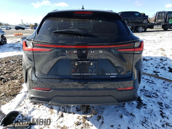 2022 Lexus NX with VIN JTJGGCEZ3N2005494, listed as a Copart auction lot 41362565 with 0 mi miles and Salvage Title. Bid and sale history available at carsss.com. Image 6.