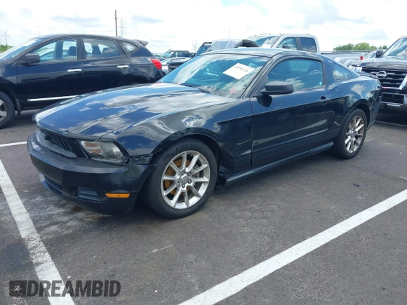2011 Ford Mustang V6 with VIN 1ZVBP8AM5B5149026, listed as a IAAI auction lot 42551126 with 230,429 mi miles and . Bid and sale history available at DreamBid. Image 2.