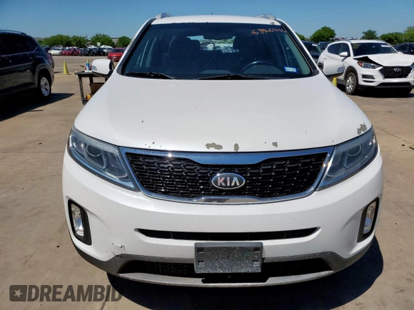 2014 Kia Sorento LX with VIN 5XYKT4A66EG499575, listed as a Copart auction lot 53900745 with 123,487 mi miles and Salvage Title. Bid and sale history available at DreamBid. Image 5.