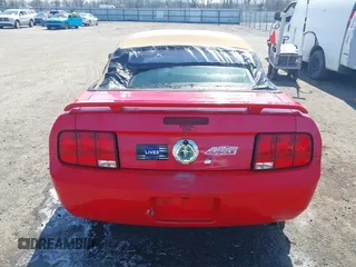 2006 Ford Mustang Standard with VIN 1ZVFT84N965234717, listed as a IAAI auction lot 41772347 with 53,356 mi miles and . Bid and sale history available at carsss.com. Image 16.