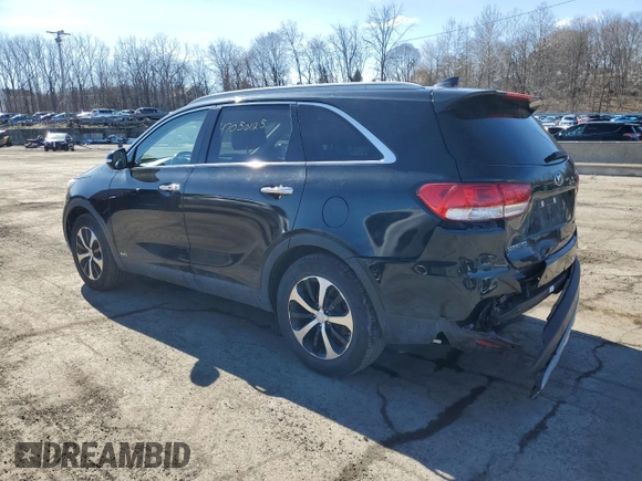 2017 Kia Sorento EX with VIN 5XYPHDA13HG324622, listed as a Copart auction lot 47050125 with 117,694 mi miles and Salvage Title. Bid and sale history available at carsss.com. Image 2.