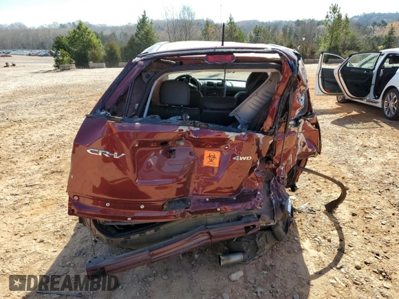 2011 Honda CR-V EX-L with VIN 5J6RE4H76BL037146, listed as a Copart auction lot 49583195 with 0 mi miles and Salvage Title. Bid and sale history available at carsss.com. Image 6.