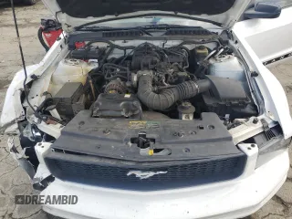 2005 Ford Mustang Deluxe with VIN 1ZVFT84N455250273, listed as a Copart auction lot 50923095 with Not Provided miles and Salvage Title. Bid and sale history available at carsss.com. Image 13.