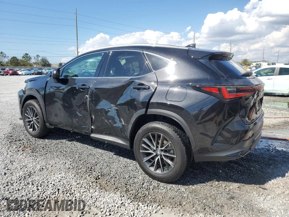 2023 Lexus NX 250 с VIN 2T2ADCAZ0PC004097, выставлен на аукционе Copart как лот 44731785 с пробегом 19 160 миль миль и Списание • Salvage title. История ставок и продаж доступна на DreamBid. Изображение 2.