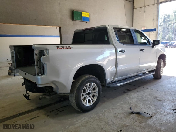 2019 Chevrolet Silverado 1500 LT Trail Boss with VIN 1GCPYFED2KZ161356, listed as a Copart auction lot 45027035 with 102,387 mi miles and Salvage Title. Bid and sale history available at carsss.com. Image 3.