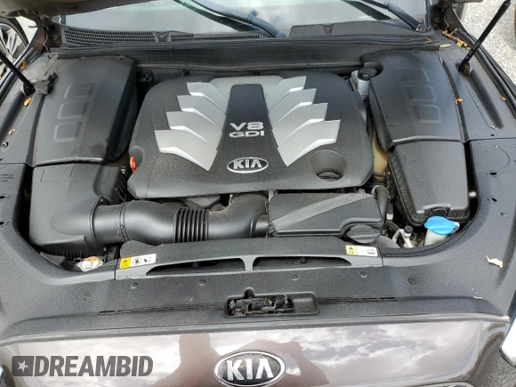 2015 Kia K900 Luxury with VIN KNALW4D48F6017602, listed as a Copart auction lot 74309814 with 0 mi miles and Salvage Title. Bid and sale history available at carsss.com. Image 11.