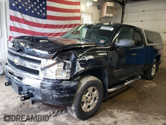 2009 Chevrolet Silverado 1500 LT with VIN 1GCEK29099Z297597, listed as a Copart auction lot 50965095 with 175,640 mi miles and Salvage Title. Bid and sale history available at DreamBid. Image 1.