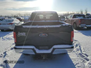 2016 Ford F-150 XLT with VIN 1FTEX1EP8GFB72703, listed as a Copart auction lot 42922645 with 161,682 mi miles and Salvage Title. Bid and sale history available at carsss.com. Image 6.
