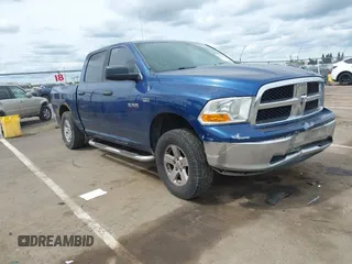 2009 Dodge 1500 SLT with VIN 1D3HV13T99S704450, listed as a IAAI auction lot 41976123 with Not Provided miles. Bid and sale history available at carsss.com. Image 1.
