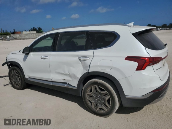 2022 Hyundai Santa Fe Limited with VIN 5NMS44AL2NH455808, listed as a Copart auction lot 45237285 with 51,255 mi miles and Salvage Title. Bid and sale history available at carsss.com. Image 2.