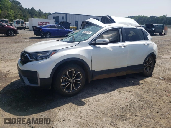 2020 Honda CR-V EX-L z VIN 7FARW1H85LE010622, wystawiony jako Copart lot #51293365 z przebiegiem Nie podano mil oraz Szkoda całkowita • Salvage title. Historia ofert i sprzedaży dostępna na DreamBid. Obrazek 1.