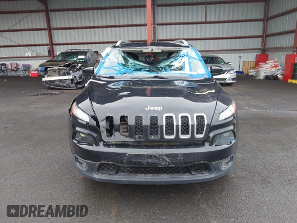 2017 Jeep Cherokee Latitude with VIN 1C4PJMCB7HW651716, listed as a IAAI auction lot 42275352 with 124,152 mi miles and . Bid and sale history available at DreamBid. Image 12.