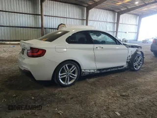 2016 BMW 2 Series 228i with VIN WBA1F9C58GV545002, listed as a Copart auction lot 42129794 with 110,846 mi miles. Bid and sale history available at carsss.com. Image 3.